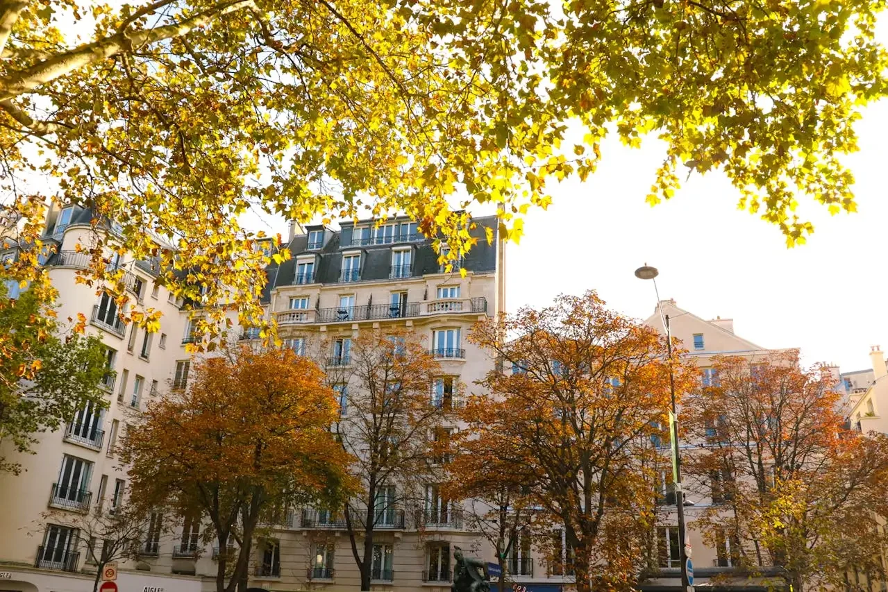 What a RICS Level 2 Survey Does Not Include